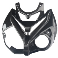 Pièce de moto en fibre de carbone, carénage avant pour BMW S1000R 2014-2019