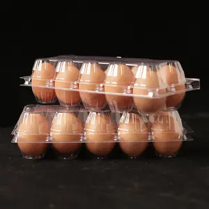 Uma caixa plástica do ovo do animal de estimação usado por supermercados para evitar que os ovos quebram