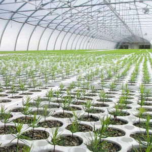 Serre agricole professionnelle à faible coût - Product Image 3