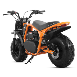 รถมอเตอร์ไซค์ Tao Motor 2025 รุ่นใหม่ โครงเหล็ก ยางใหญ่ สำหรับขับขี่ออฟโรด 200 ซีซี มินิไบค์ - Product Image 3