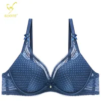 Ladymate ODM/OEM Sujetador Con Relleno Underwire Brasier De Encaje