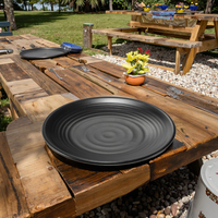 Assiettes de présentation modernes en mélamine noire, design personnalisé, durables, pour fêtes, mariages, camping d'automne