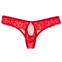 Culottes sexy transfrontalières pour hommes, sous-vêtements à ouverture frontale, pochette bombée en U, dentelle florale, maille transparente, string en nylon, modèle Z091