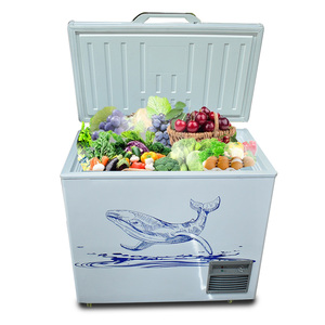 Super Promo : Congélateur Horizontal <span class=keywords><strong>Coffre</strong></span> Grand Format, Meilleur Prix - Product Image 3
