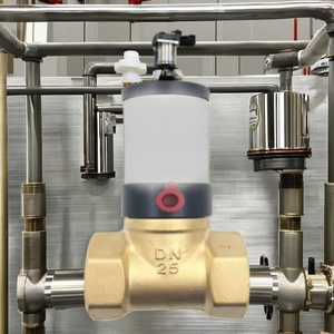 Válvula de Alivio Ajustable de Latón Neumática para la Industria del Petróleo y Gas, Tamaño de Puerto de 1/2"~2" - Product Image 1