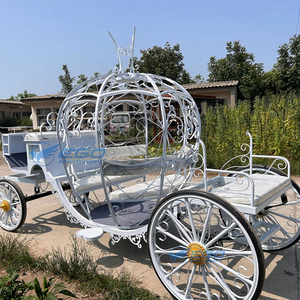 Carruaje Eléctrico de Hierro Blanco Estilo Real, el Más Vendido, Carruaje Eléctrico Blanco para Bodas y Turismo - Product Image 2
