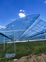 Invernadero Multi-Span con Techo de Plástico para Cultivo de Vegetales y Flores