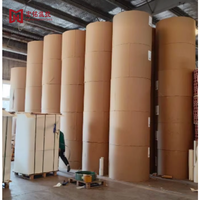 Papier de base pour coussinets de refroidissement 95 g/m² 1100 mm, rouleau de papier kraft pour la production de coussinets de refroidissement, rideau humide, élevage de volailles et de bétail