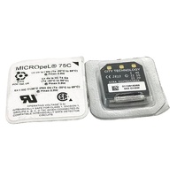 Capteur de Combustion Catalytique LEL City MICROPEL 75C SR-W-MP75C pour Détecteur de Gaz BW GasAlertMicroClip XT X3 en Stock