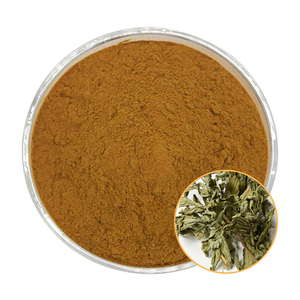 Weegbree <span class=keywords><strong>Extract</strong></span> Poeder 10:1, 20:1, 30:1; In Water Oplosbaar Weegbree Poeder. Plantenextract - Product Image 1
