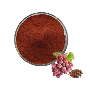Poudre d'extrait de pépins de raisin 90% Proanthocyanidines par UV Ingrédient botanique naturel pour compléments alimentaires, cosmétiques et usage personnel - Product Image 1