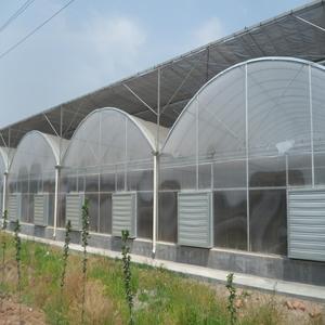 أرخص دفيئة بلاستيكية زراعية/تجارية/صناعية مع أنظمة كاملة للبيع - Product Image 4