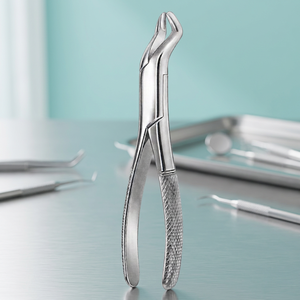 Forceps d'extraction dentaire manuel, pour dents supérieures centrales et latérales, avec poignée à crochet et prise moletée, argenté, instrument chirurgical de classe I - Product Image 6