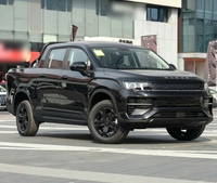 Pick-up électrique d'occasion 2024 de marque chinoise, modèle EV RD5 Radar, double cabine