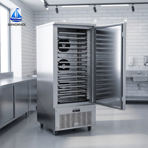 Congélateur commercial vertical avec étagères multi-niveaux et porte en verre foncé pour l'unité de stockage des aliments préparés en usine - Product Image 1