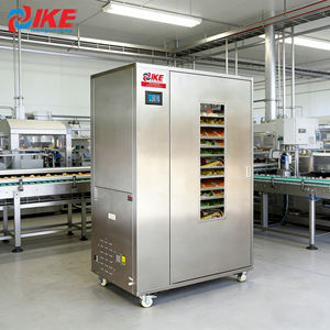 آلة تجفيف الفاكهة التجارية IKE آلة التجفيف بالهواء الساخن للأسماك واللحوم والأعشاب - Product Image 3