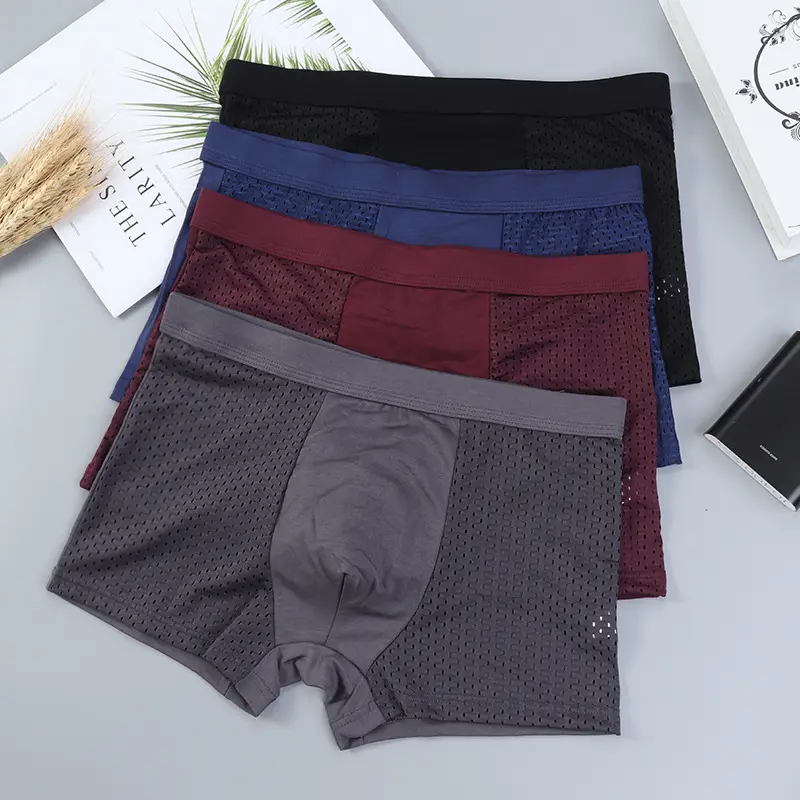 Men's underwear mesh modal boy boxer briefs breathable men's pants