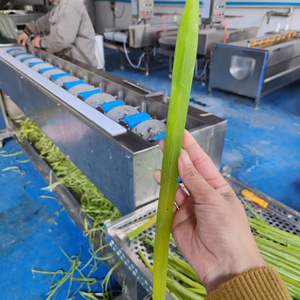 Moteur multifonctionnel de machine d'épluchage de carotte d'igname de machines alimentaires de rendement élevé de la meilleure vente 220V pour des magasins d'alimentation d'utilisation commerciale - Product Image 6