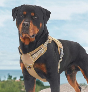 Gilet tactique durable pour animaux de compagnie <span class=keywords><strong>manteau</strong></span> de refroidissement pour <span class=keywords><strong>chien</strong></span> poitrine d'entraînement pour animaux de compagnie en plein air <span class=keywords><strong>harnais</strong></span> et laisses pour chiens - Product Image 6
