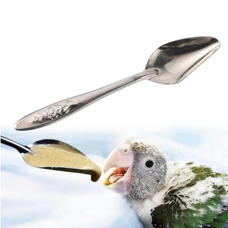 थोक स्टेनलेस स्टील पक्षी फीडर पक्षी चारा चारा तोते पक्षियों के लिए हाथ फ़ीड स्कूप स्कूप