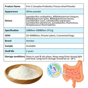 AMULYN fornisce probiotici composti probiotici 9-In-1 a nove ceppi complessi In polvere 10-100 miliardi di CFU/g