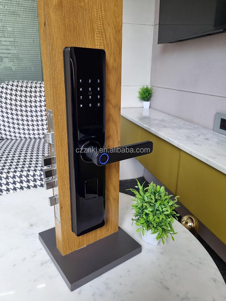 Smart Fingerprint Digital Handle Locks Ttlock TZ16B Waterproof Electronic WiFi Aluminum Alloy Memory Card High Security 9 Groups · image 7