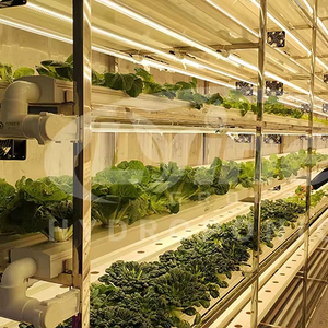 Sistema de Cultivo Vertical NFT OEM para Hidroponía, Kits de Cultivo NFT para Lechuga, Fresas y Vegetales - Product Image 2