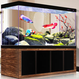 Aangepaste Rechthoek Woonkamer <span class=keywords><strong>Aquarium</strong></span> <span class=keywords><strong>Aquarium</strong></span> Ultra Helder Glas Aanpasbare Grootte & Kleur Duurzaam Milieuvriendelijk Voor Goudvissen - Product Image 2