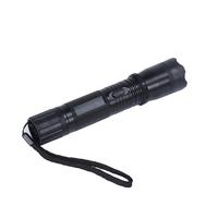 Lampe torche 1101, vente en gros directe usine, en aluminium, UV, tactique, porte-clés, portable, pour clé de voiture, à ouverture rapide, rechargeable, DDP