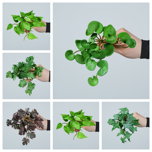 Plantes artificielles en caoutchouc souple, suspendues, pour aménagement paysager <span class=keywords><strong>intérieur</strong></span> : Monstera, Feuille <span class=keywords><strong>de</strong></span> palmier rouge, Trèfle, Succulente, type 'Coins Grass' - Product Image 4