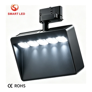 ไฟติดผนังแบบโมเดิร์น 4 สาย 6 สาย High Ra90 COB SMD5050 15W-30W 2700K-6500K ปรับสีขาวได้ DALI 2 DT8 สำหรับพิพิธภัณฑ์ - Product Image 3