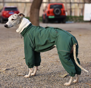 Abrigo de Invierno para Perros, Grueso, de Poliéster, Impermeable, Resistente al Viento y a la Nieve, para Whippets y Perros Terrier Pequeños - Product Image 5