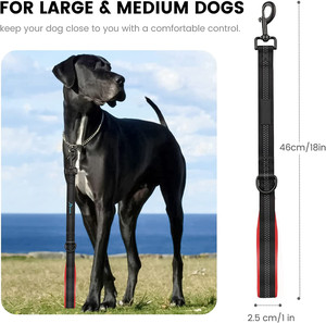 QQgift Özel Tasarım Lüks Köpek Tasması 45 cm Naylon Perçinli Yastıklı Saplı Çevre Dostu 3 Yansıtıcı İplikli Büyük/Orta/Köpek Yavruları için - Product Image 2