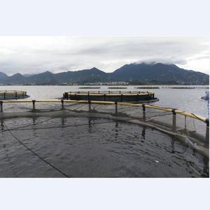 HDPE Bracket Vuông Biển Sâu Nuôi Cá <span class=keywords><strong>Net</strong></span> Nổi Lồng - Product Image 4