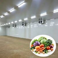 Cámara Frigorífica Personalizable de Tamaño Mediano/Grande, Almacén Frigorífico de Baja Temperatura para Almacenamiento Logístico de Frutas y Verduras