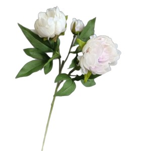 <span class=keywords><strong>Bouquet</strong></span> de fleurs artificielles en soie rose corail de haute qualité ODIS pour la décoration de la maison et des événements, pivoine artificielle - Product Image 5