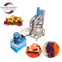 RVS multifunctionele fruit- en groentesapcentrifuge met motor