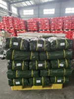 Feuille imperméable résistante de bâche de PE, bâche résistante aux UV de 130gsm 3x4M poly pour la construction et l'agriculture