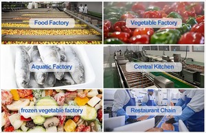 Lavadora de frutas vegetales frescos Máquina de limpieza de burbujas de aire de zanahorias de dátiles secos completamente automática - Product Image 3