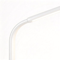 Lampe de sol LED à télécommande 12W 600lm, 2 températures de couleur réglables, lampe de lecture sur pied à col de cygne, 12V, intensité variable, CRI 80
