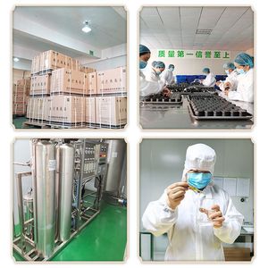 Hubei Bokang Coussinets chauffants menstruels 2 boîtes à base de poudre de fer favorisant la circulation sanguine pour les soins post-partum - Product Image 1