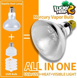 Lámpara UVB de Vidrio de 160W R80 <span class=keywords><strong>Mini</strong></span> para Reptiles, Certificación CE ROHS, Ecológica, Lámpara de Vapor de Mercurio LUCKY HERP - Product Image 2
