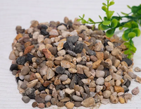 Galets de rivière lisses multicolores certifiés Eco-Certified, pierres naturelles pour la décoration de jardin, galets au design moderne pour allées de bien-être