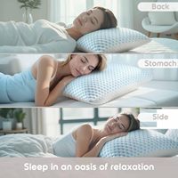 Lit ferme fermeture éclair literie taies d'oreiller Cool bambou tissu grand Gel de refroidissement cervical infusé bleu forme de mémoire mousse cou oreiller Cool