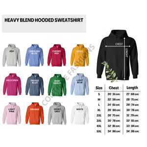 Sudadera con capucha de moda para jóvenes Logotipo bordado personalizado Fleece suave Ecológico Colores vibrantes Eventos de primavera - Product Image 5