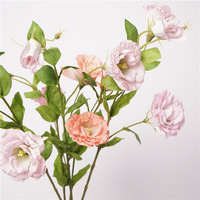 Fleurs artificielles Eustoma Lisianthus au toucher réel, fleurs de campanule hydratantes, fleurs artificielles de gentiane de prairie pour la décoration d'événements