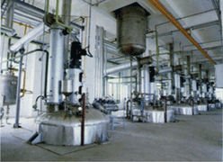 Planta Completa para la Producción de Resina/Máquina para la Fabricación de Resina - Product Image 2