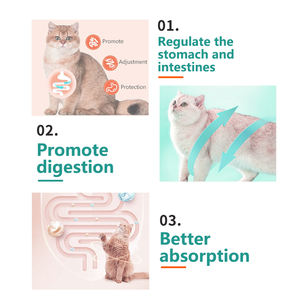 Oem/Odm Natuurlijke Probiotische Poeder Voor Honden Katten Prebiotica Voor Spijsvertering Darm Gezondheid Aanbevolen Dierenartsen Gezondheidszorg Supplementen - Product Image 3