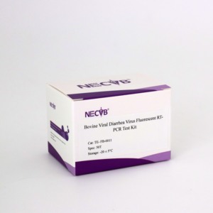 Kit de RT-PCR BVDV-2 en temps réel (50 tests) Sonde de détection du virus de la diarrhée virale bovine/méthode verte SYBR - Product Image 6