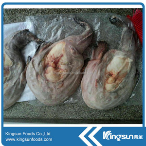 Giá tốt chất lượng cao monkfish WR - Product Image 6